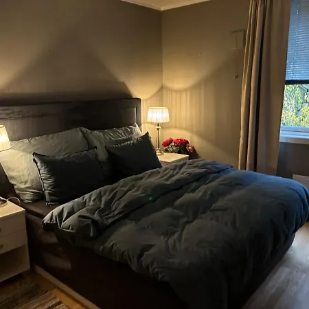 Apartmán Sentrum Rjukan